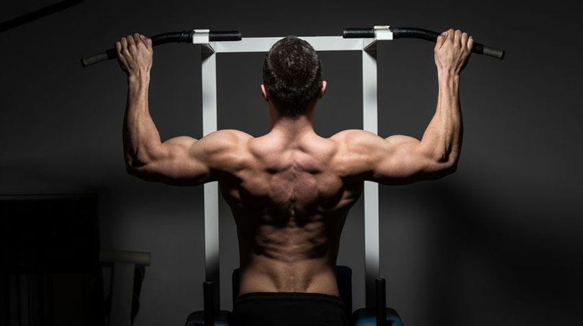 Quelle est la Meilleure Barre de Traction du Marché ?