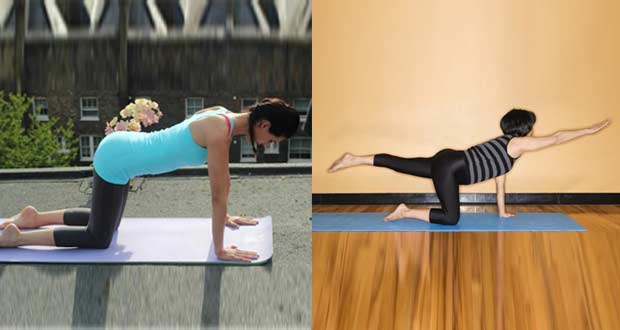 gainage-lever-jambe-bras