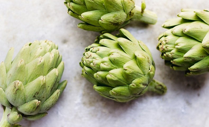 Fibres dans les artichauts