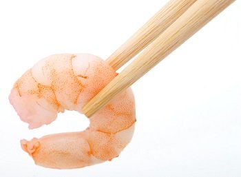 crevettes-alimentation