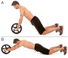 roue-abdominale-exercice