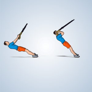 TRX Biceps Curl