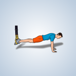 TRX Planche Supendue