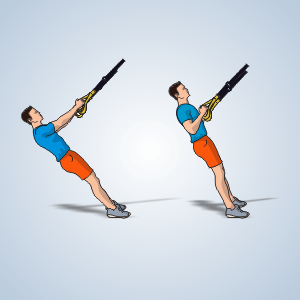 exercice de TRX Rameau dos