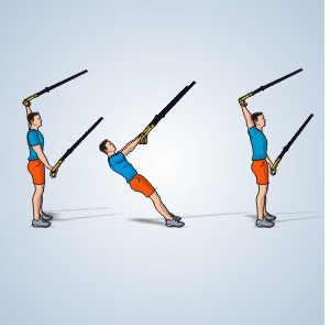 Exercice TRX Alligator