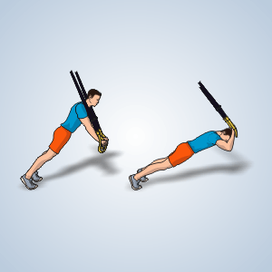 TRX Extension des triceps