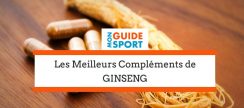 Quel est le Meilleur Complément de Ginseng en 2017 ?