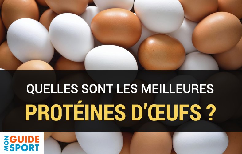 protéines œufs