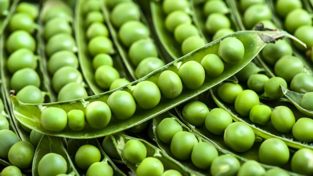 Protéines Végétales dans Petits-Pois