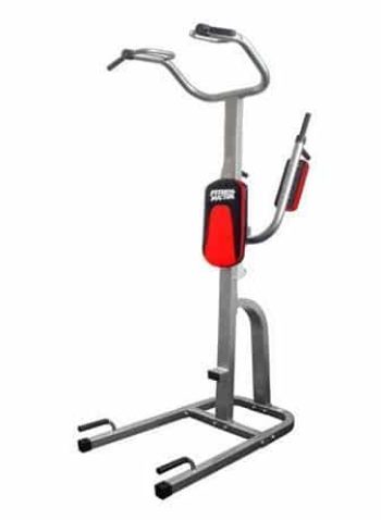 Chaise romaine Fitness Doctor Tower Pro